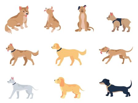 Various dog breeds flat color vector detailed character set Online Hot Sale