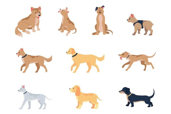 Various dog breeds flat color vector detailed character set Online Hot Sale