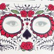 Waterproof Facial Makeup Sticker Special Face tattoo Day Of The Dead Skull Face Dress Up Halloween Temporary Tattoo Stickers For Discount