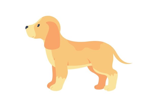 Various dog breeds flat color vector detailed character set Online Hot Sale