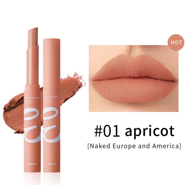 Air Matte 12 Nude and Coral Shades Lipstick | Espoce? Online