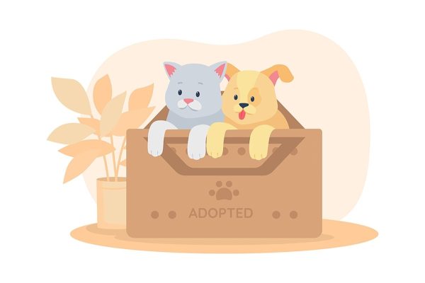 Adopting pets flat color vector illustrations Discount