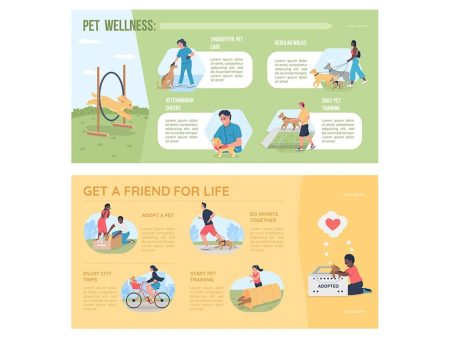 Pet adoption flat color vector infographic template set For Discount