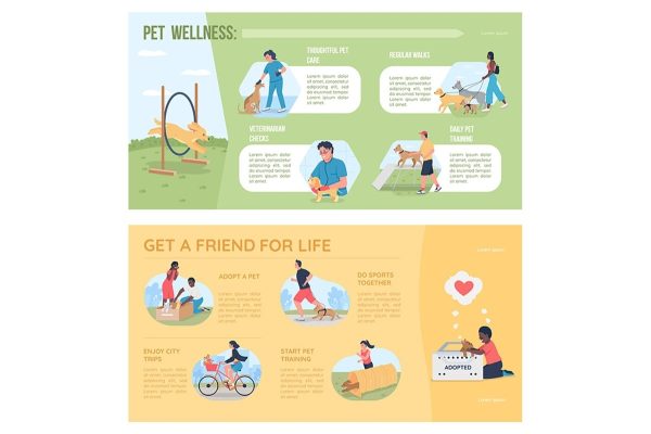 Pet adoption flat color vector infographic template set For Discount