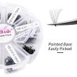 1000 Fans Premade Loose Fan Lashes Cheap