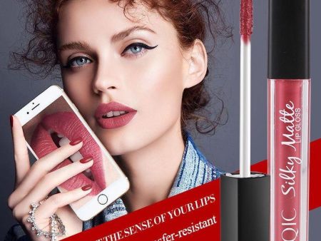 Matte Lip Gloss Lips Lipstick Long Lasting Liquid Cosmetics Exaggerated Makeup Hot on Sale