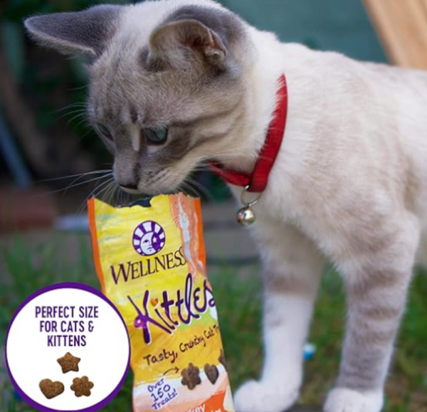 Wellness Kittles Crunchy Salmon & Cranberry Cat Treats Supply