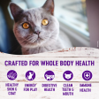 Wellness Complete Health Adult Health Deboned Chicken, Chicken Meal & Rice Recipe Dry Cat Food Supply